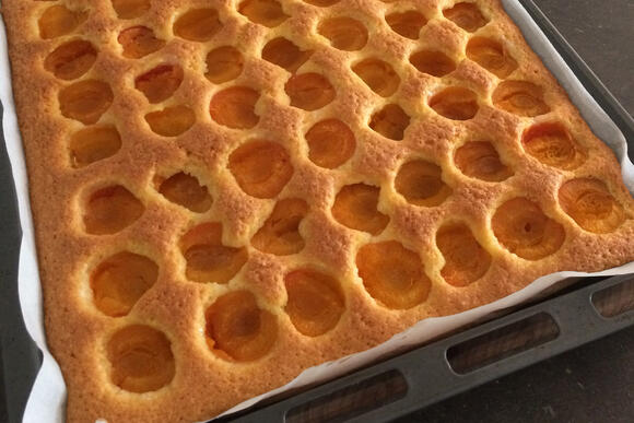 Bild von einer Portion Marillenkuchen
